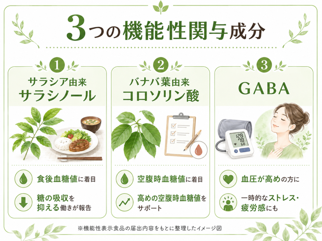 バナバ＆サラシアの恵みに含まれるサラシア由来サラシノール、バナバ葉由来コロソリン酸、GABAの特徴をまとめた図解
