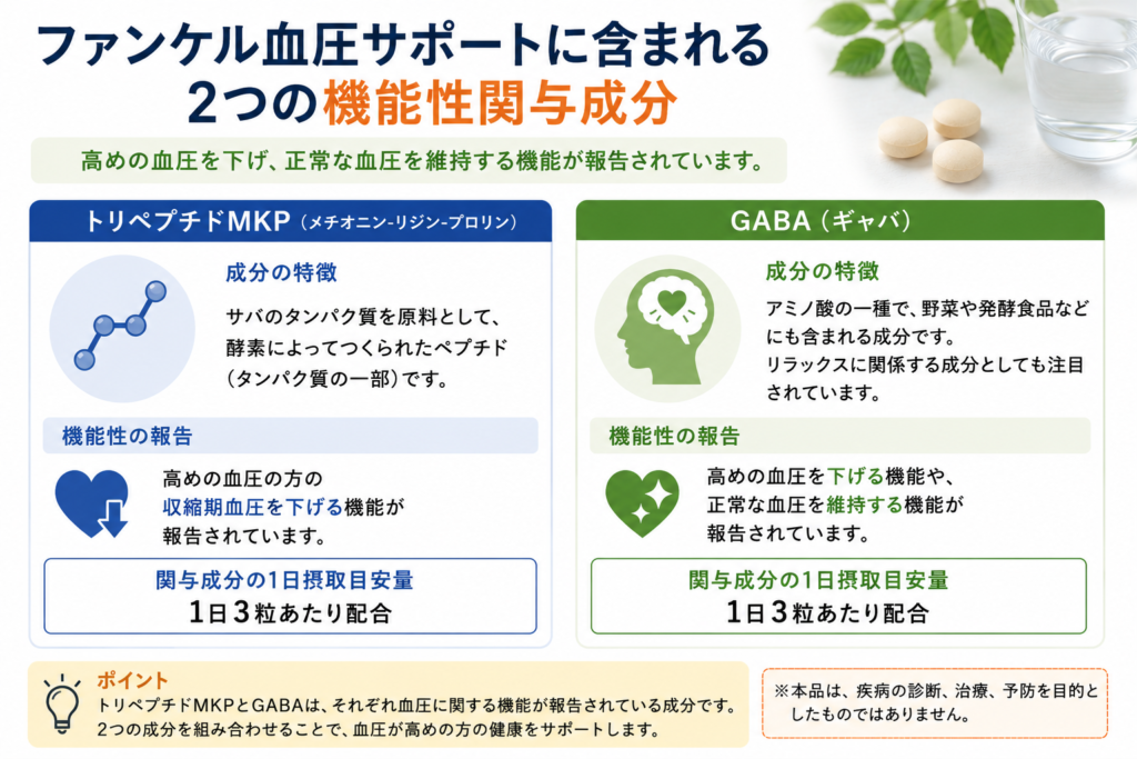 ファンケル血圧サポートに含まれるトリペプチドMKPとGABAの特徴をまとめた図解