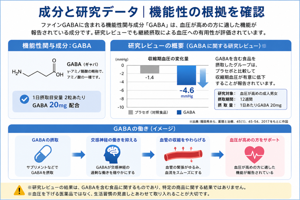 <p>※図はGABAに関する研究情報をもとに、一般の方向けに内容を整理したイメージです。実際の試験結果の詳細は公式情報・届出情報をご確認ください。</p>